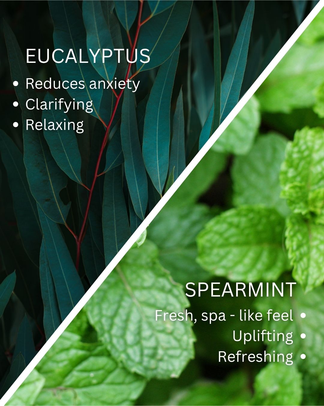 Stress Relief Eucalyptus Spearmint Cold Process Soap