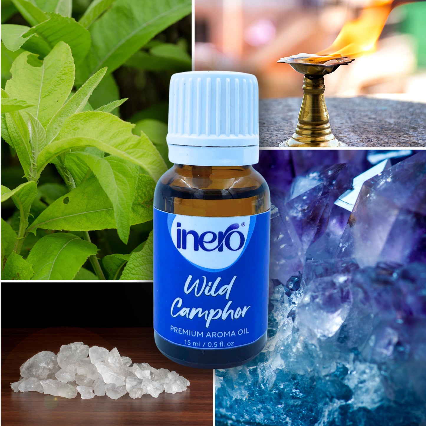 Wild Camphor Diffuser Oil