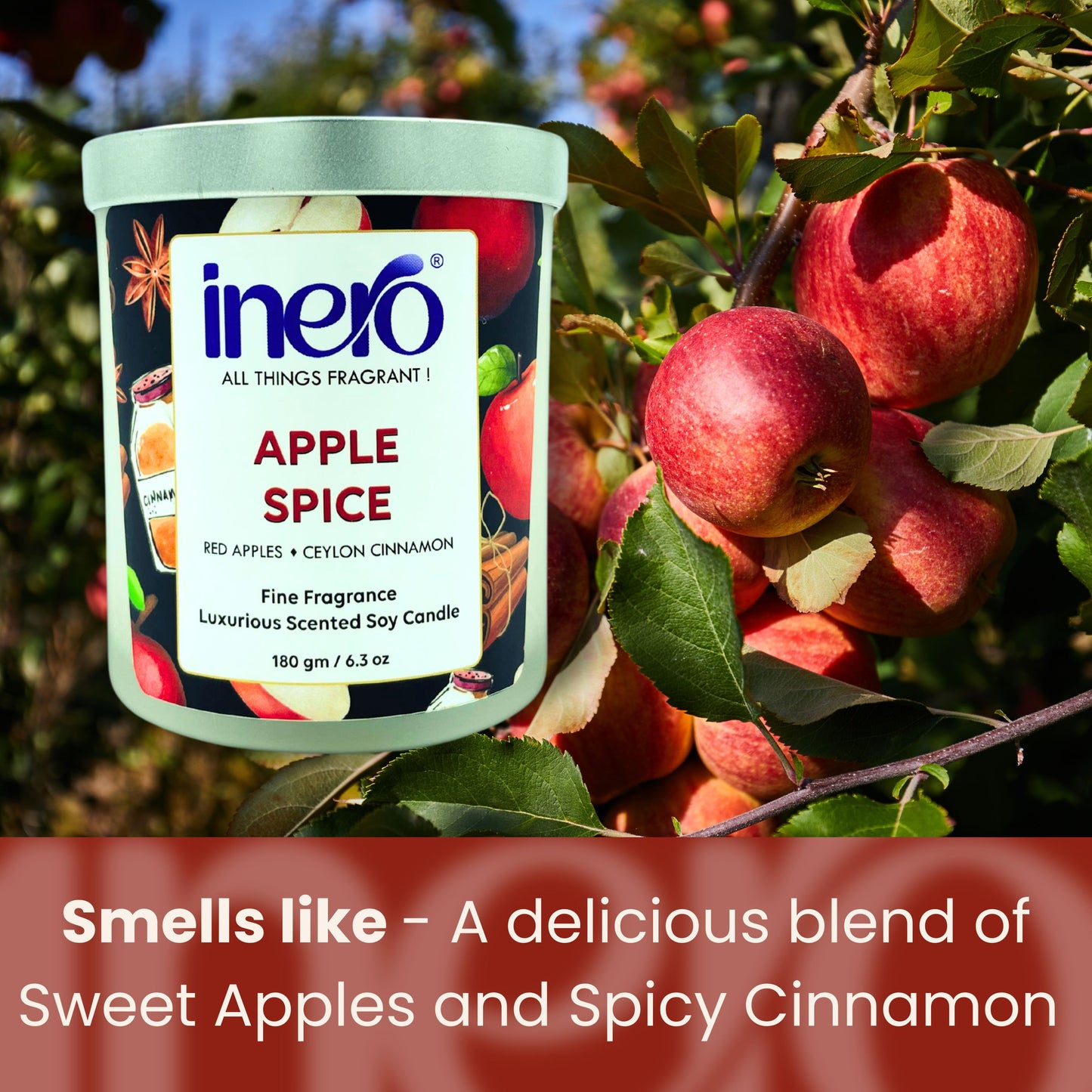 Apple Spice Scented Candle