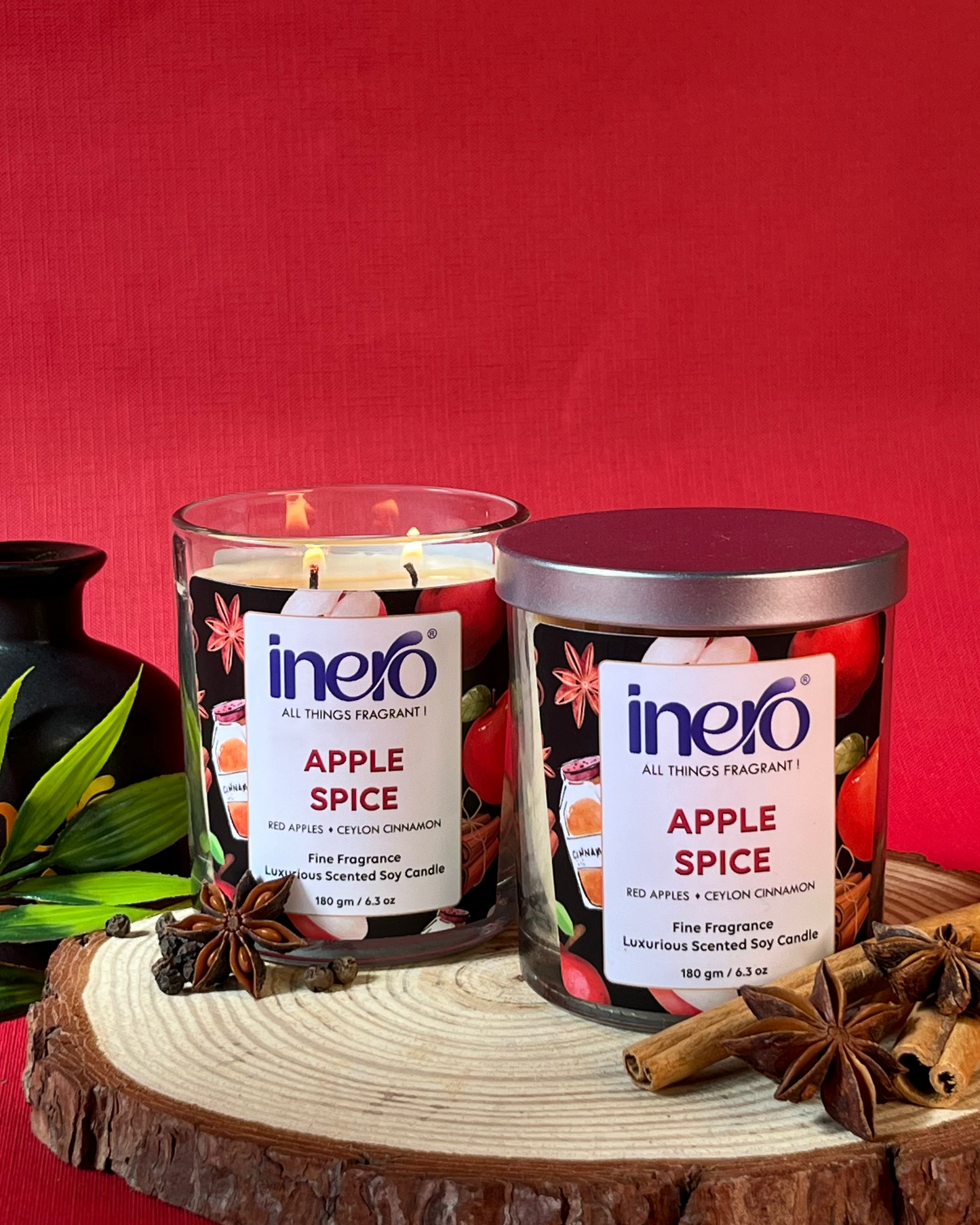 Apple Spice Scented Candle