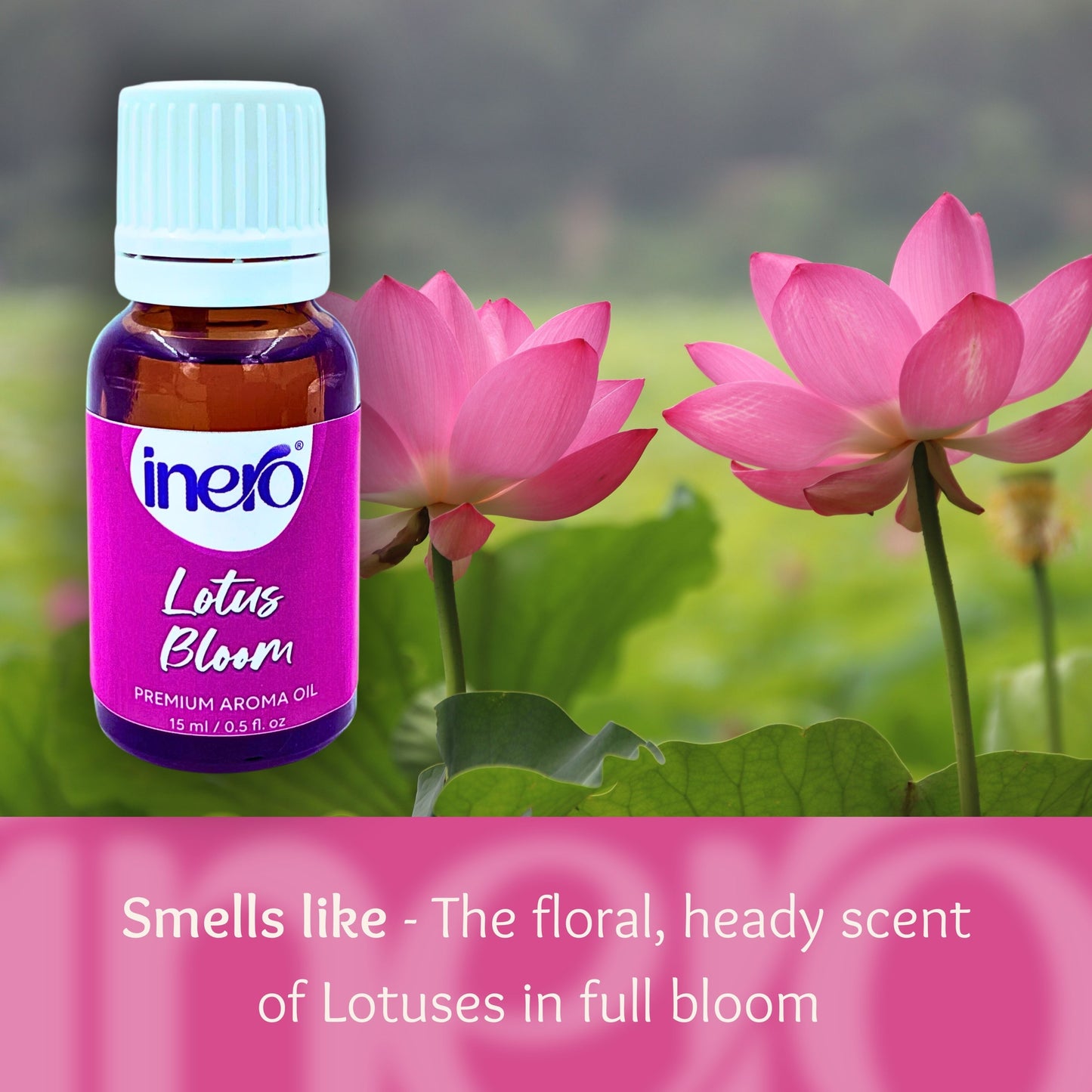 Lotus Bloom Aroma Diffuser Oil